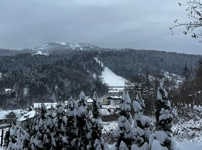 Gorski W Szczyrku Апартаменты *